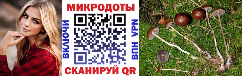 это наркотические препараты  Славгород  Псилоцибиновые грибы Magic Shrooms 