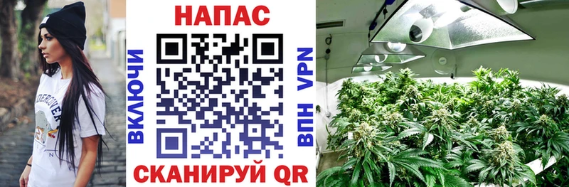 MEGA как войти  цена наркотик  Славгород  МАРИХУАНА конопля 